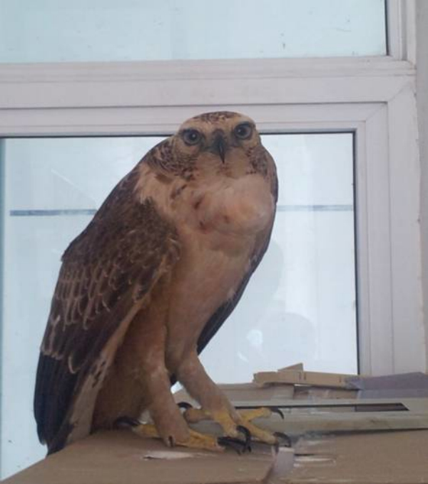 542274ede698b2f4e79defa591c8e485.jpg 542274ede698b2f4e79defa591c8e485.jpg