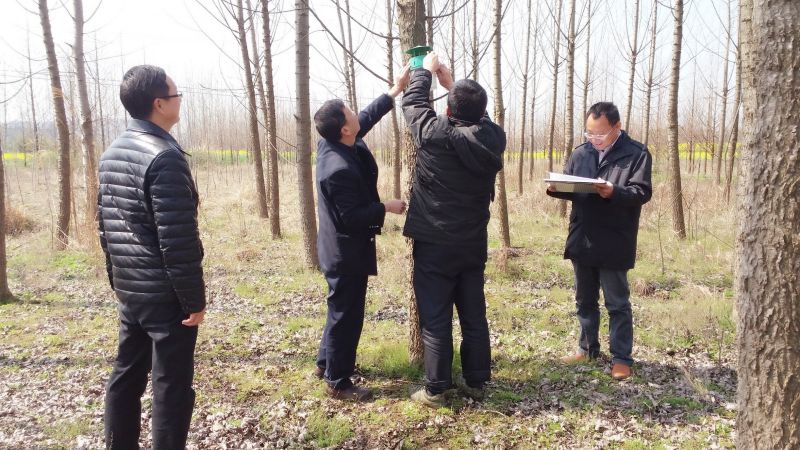 ab035a0f72e86b762d1a72f7248b4843.jpg ab035a0f72e86b762d1a72f7248b4843.jpg