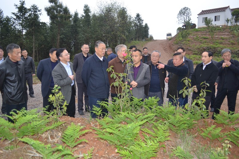 8346cb1e42c45fe0462071be598ccea9.jpg 8346cb1e42c45fe0462071be598ccea9.jpg