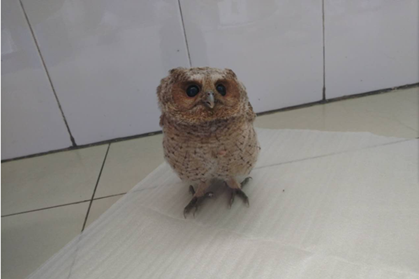 21dae0abe04b08492de407d631ab8285.png 21dae0abe04b08492de407d631ab8285.png