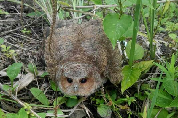 fd5f7786c42396051ec8e0e63001419f.png fd5f7786c42396051ec8e0e63001419f.png