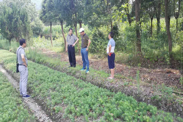 b6d5d973712416482e1a56c96b0d962e.jpg b6d5d973712416482e1a56c96b0d962e.jpg